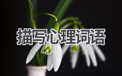 描写心理词语