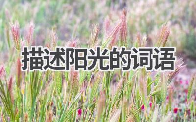 描述阳光的词语