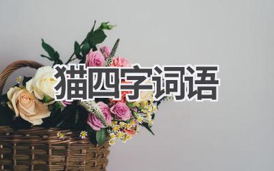 猫四字词语