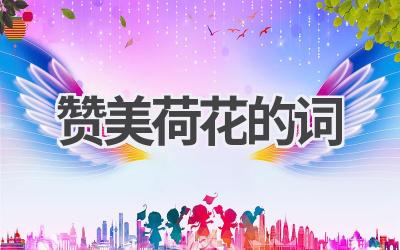 赞美荷花的词