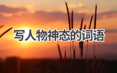 写人物神态的词语