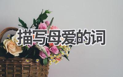 描写母爱的词