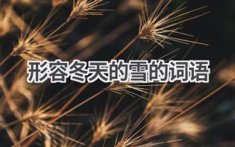 形容冬天的雪的词语