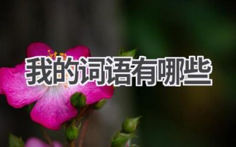 我的词语有哪些