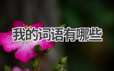 我的词语有哪些
