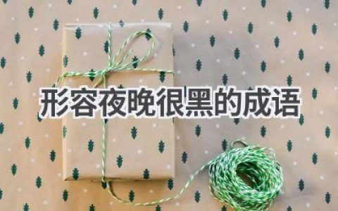形容夜晚很黑的成语