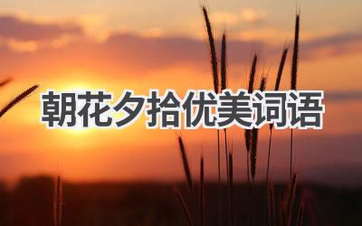 朝花夕拾优美词语