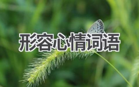 形容心情词语