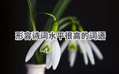 形容诗词水平很高的词语