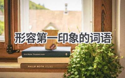 形容第一印象的词语