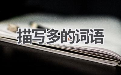 描写多的词语