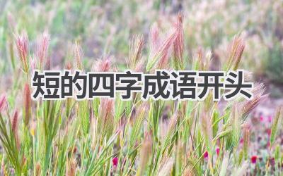 短的四字成语开头