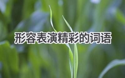 形容表演精彩的词语