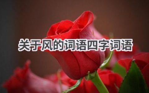关于风的词语四字词语