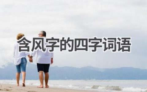 含风字的四字词语