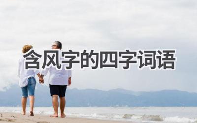 含风字的四字词语