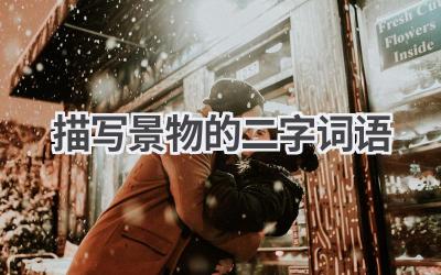 描写景物的二字词语