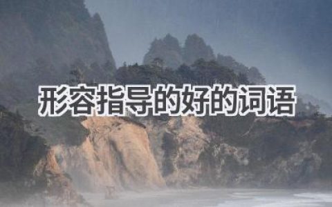 形容指导的好的词语