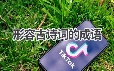 形容古诗词的成语