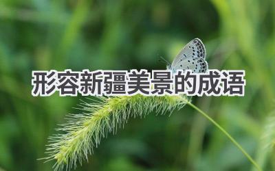 形容新疆美景的成语