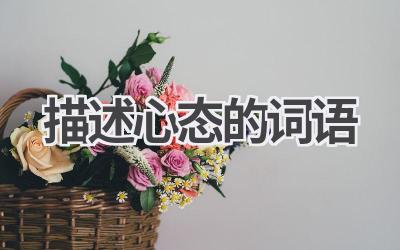 描述心态的词语