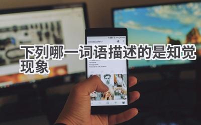 下列哪一词语描述的是知觉现象
