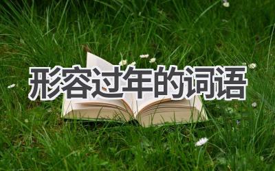 形容过年的词语