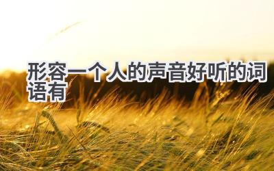 形容一个人的声音好听的词语有