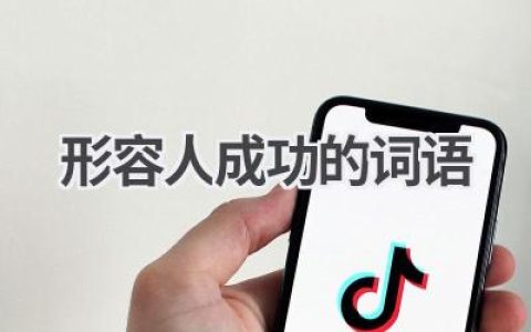 形容人成功的词语
