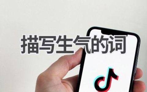 描写生气的词