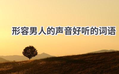 形容男人的声音好听的词语
