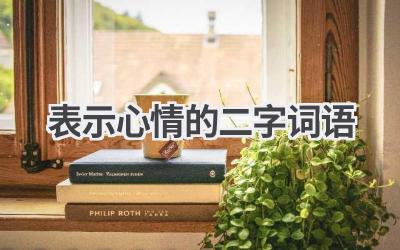 表示心情的二字词语