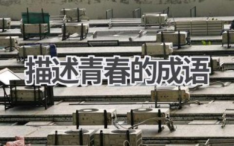 描述青春的成语