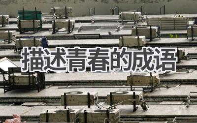 描述青春的成语