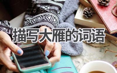 描写大雁的词语