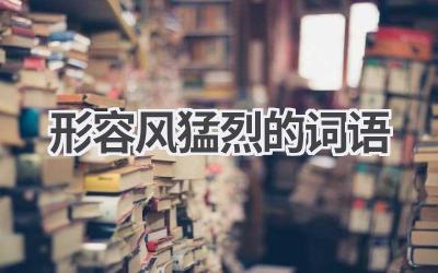 形容风猛烈的词语