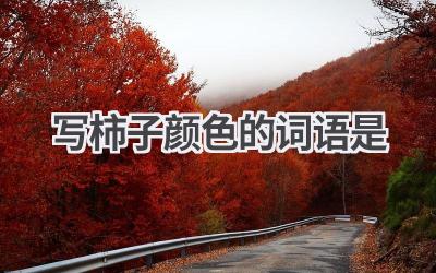 写柿子颜色的词语是