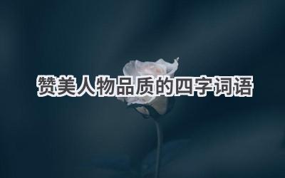 赞美人物品质的四字词语