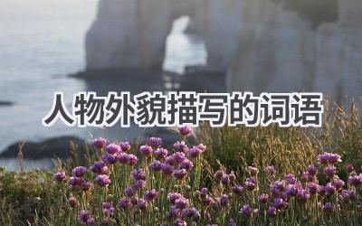 人物外貌描写的词语