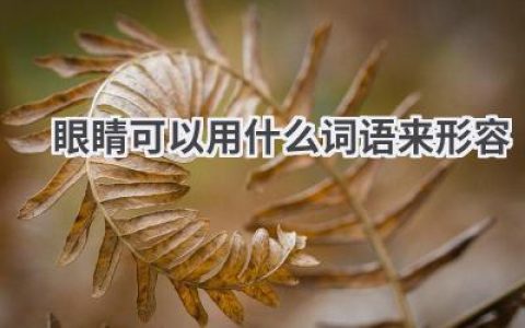 眼睛可以用什么词语来形容