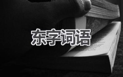 东字词语
