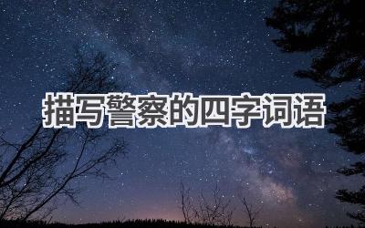 描写警察的四字词语