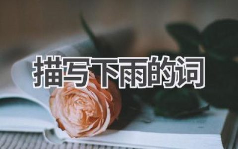 描写下雨的词