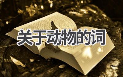 关于动物的词