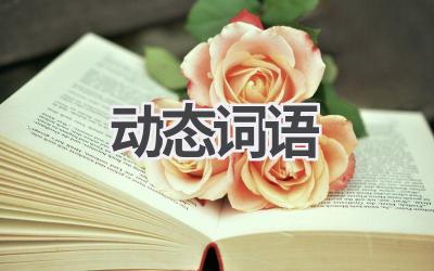 动态词语