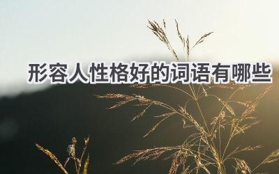 形容人性格好的词语有哪些