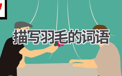 描写羽毛的词语