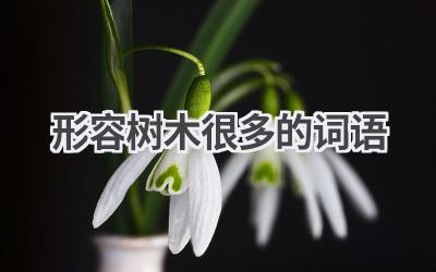 形容树木很多的词语