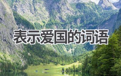 表示爱国的词语