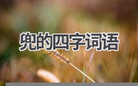兜的四字词语